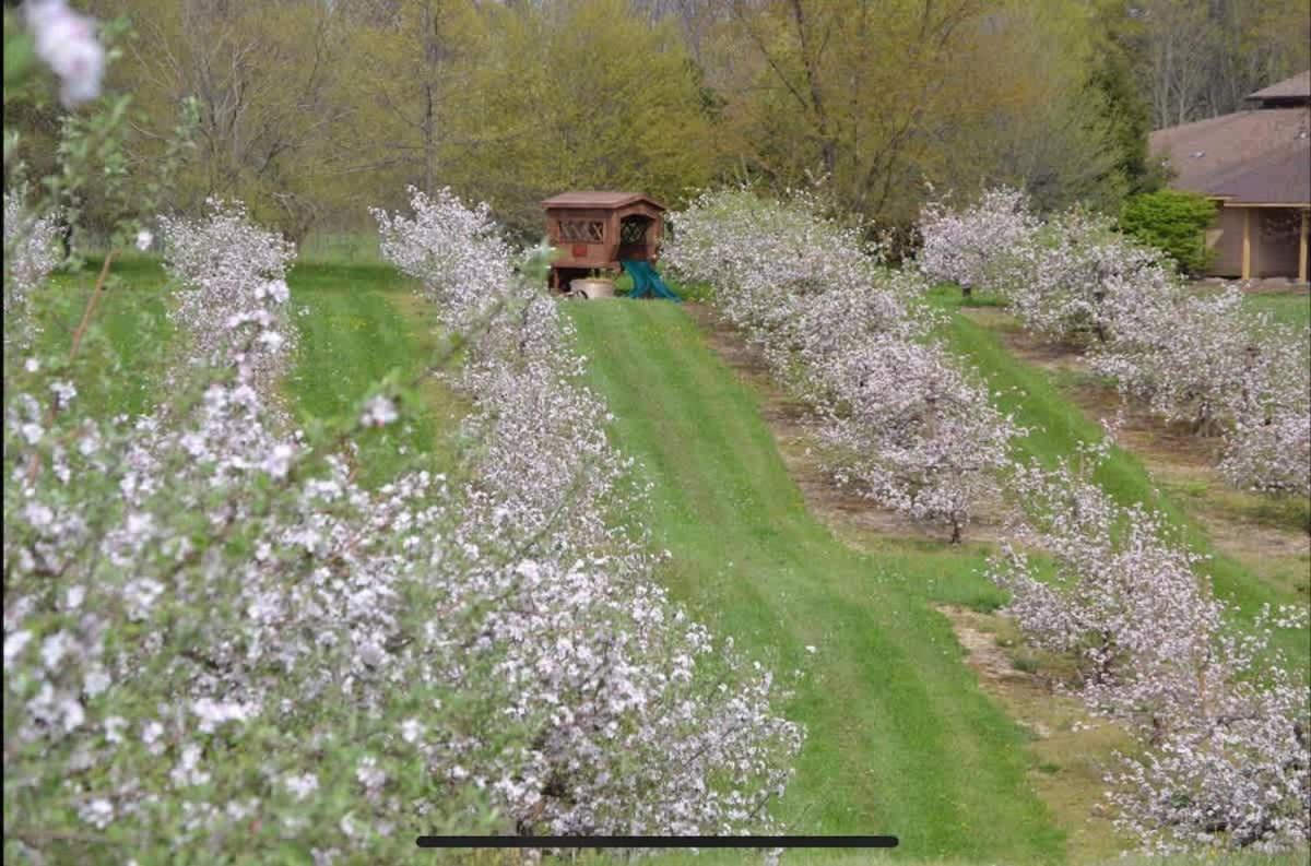 The Cortland Cottage At Brant'S Apple Orchard Ashtabula Eksteriør billede